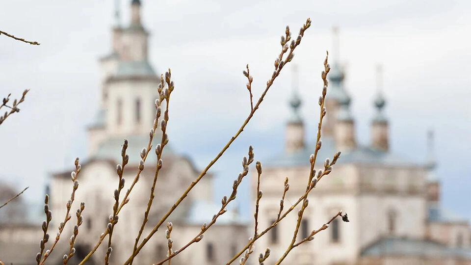 Вербная неделя